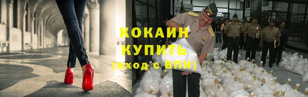 дурь Новозыбков