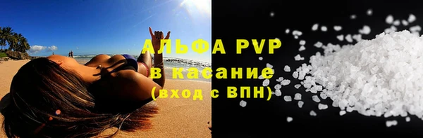 стафф Новокубанск