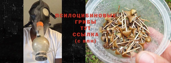 дурь Новозыбков