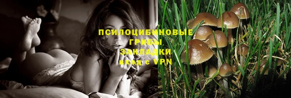 дурь Новозыбков