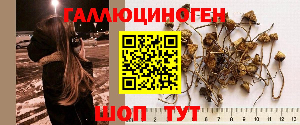 ТГК Ялуторовск