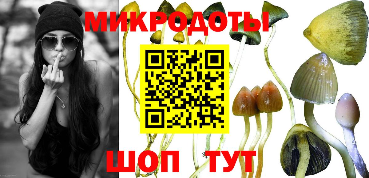 Галлюциногенные грибы мицелий  Вход с VPN  Ялуторовск 